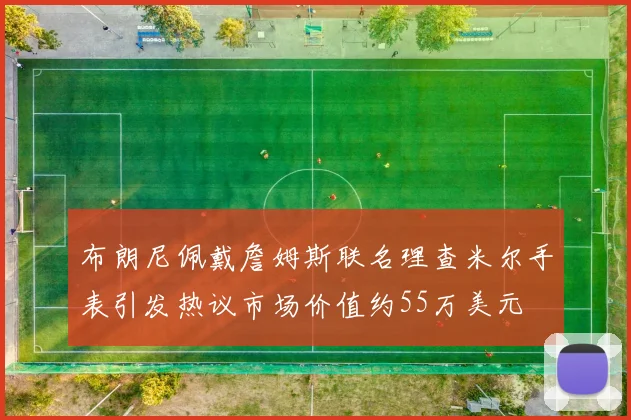 布朗尼佩戴詹姆斯联名理查米尔手表引发热议市场价值约55万美元