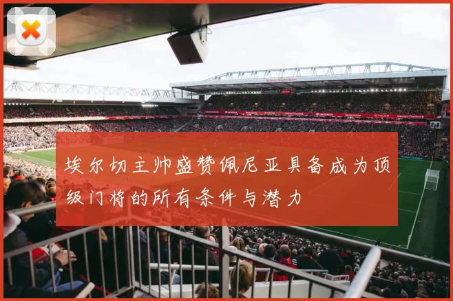 埃尔切主帅盛赞佩尼亚具备成为顶级门将的所有条件与潜力